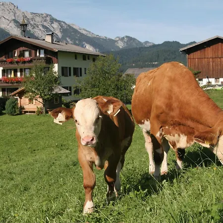 Schrattengut * Abtenau