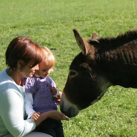 Apartment Schrattengut *
