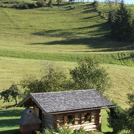 Schrattengut Apartment Abtenau